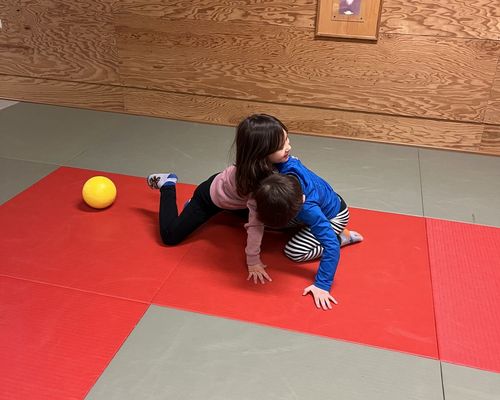 Schnuppern in unserer Judo Abteilung 